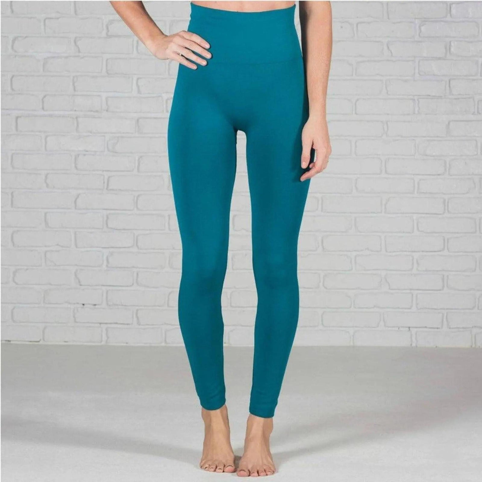 Tummy Control Fleece Lined Leggings Two Sizes Curvy Added - Truly Contagious