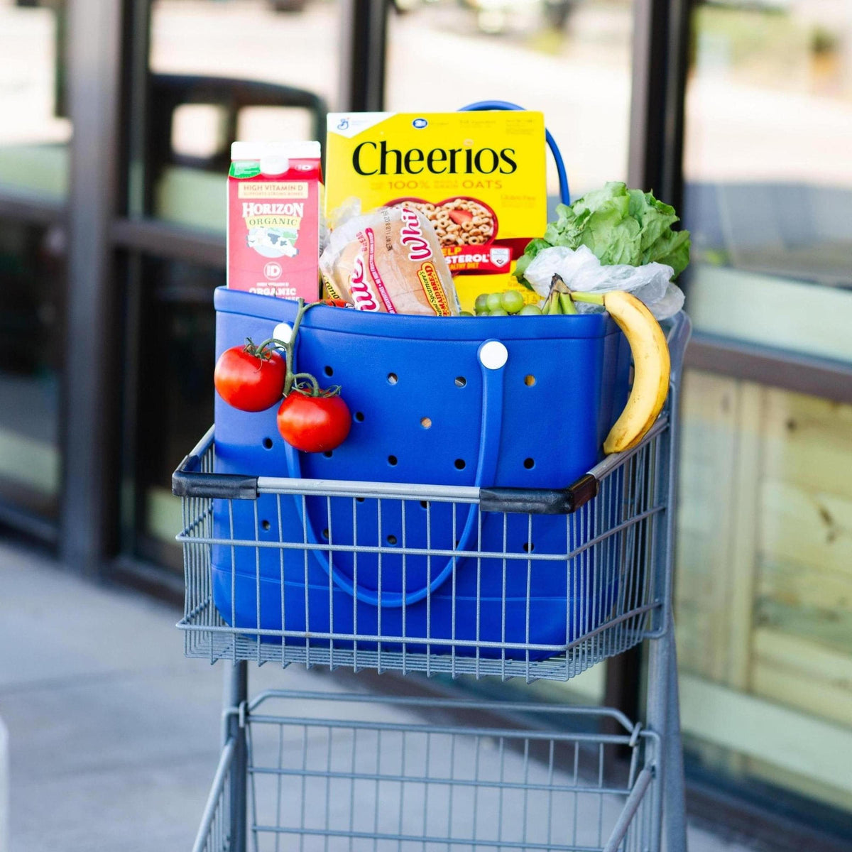 All - Around Adventure X - Large Eva Tote - Truly Contagious