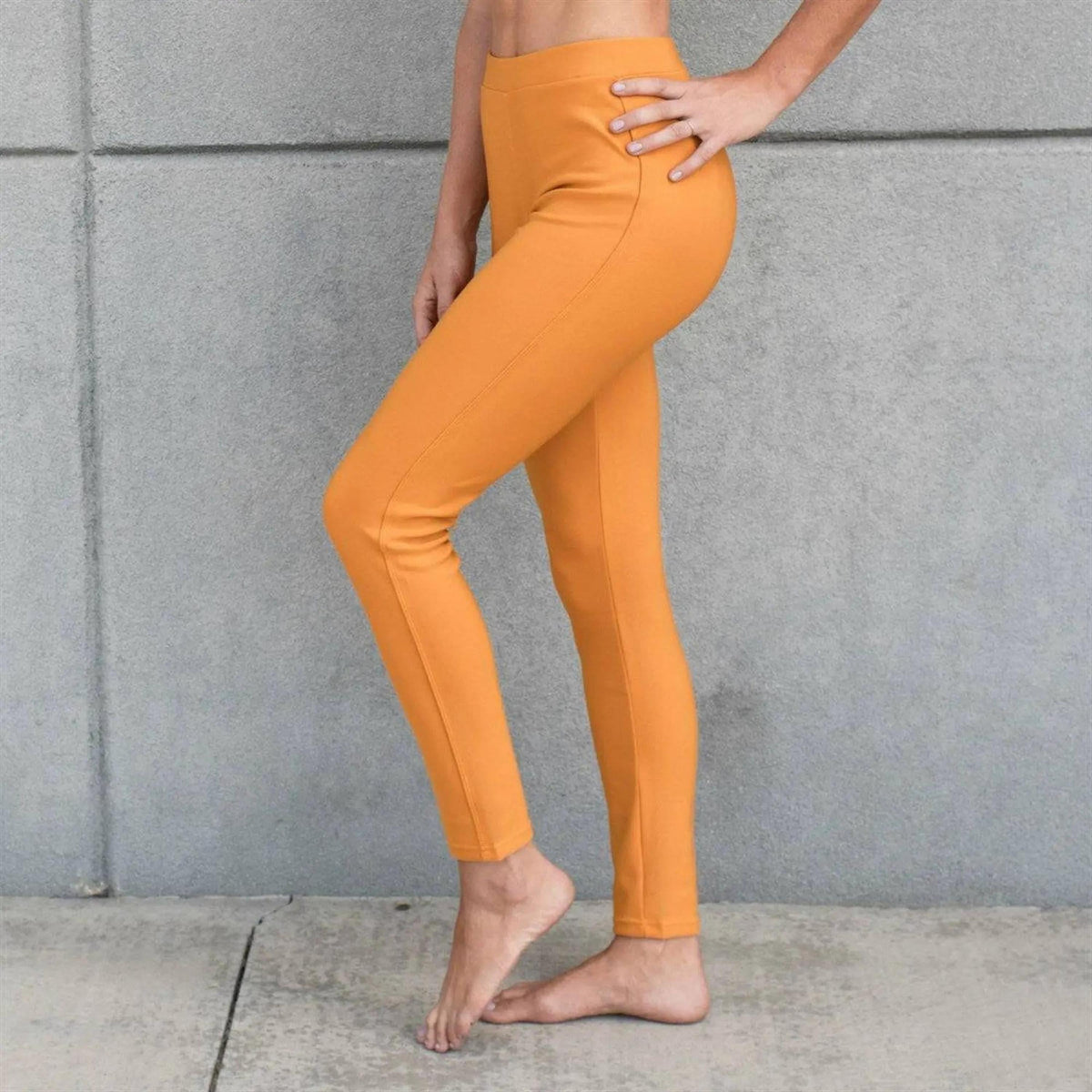 High Rise Ponte Pant (New Mix) - Truly Contagious