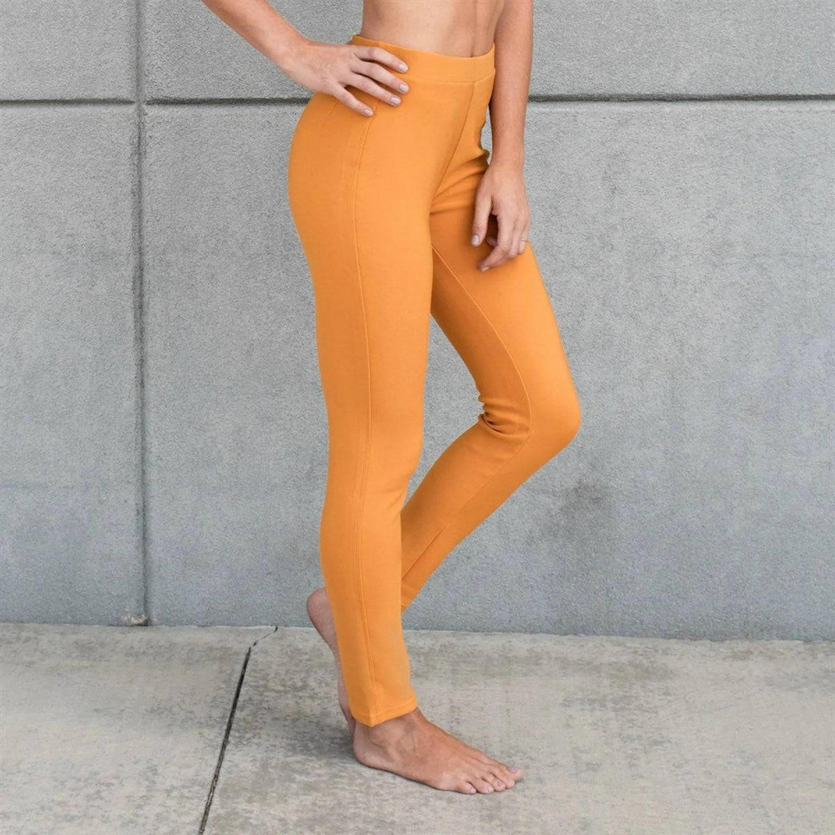 High Rise Ponte Pant (New Mix) - Truly Contagious