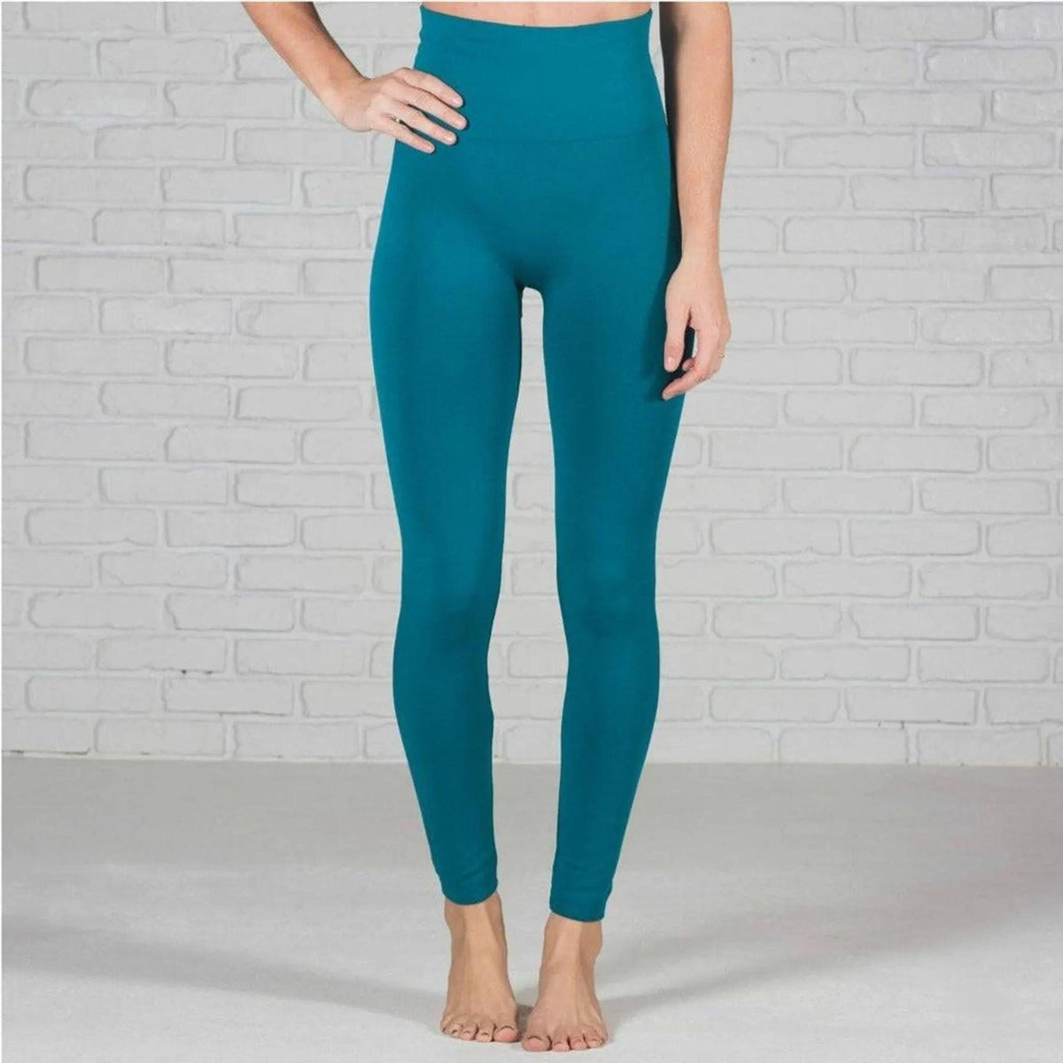 Tummy Control Fleece Lined Leggings Two Sizes Curvy Added - Truly Contagious